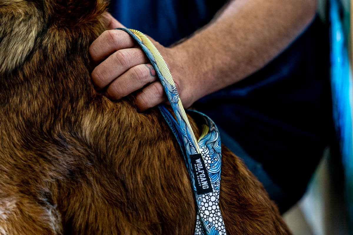 Wolfgang Dog Collars, Leashes & Wall Rack Collaboration Crawford Craft