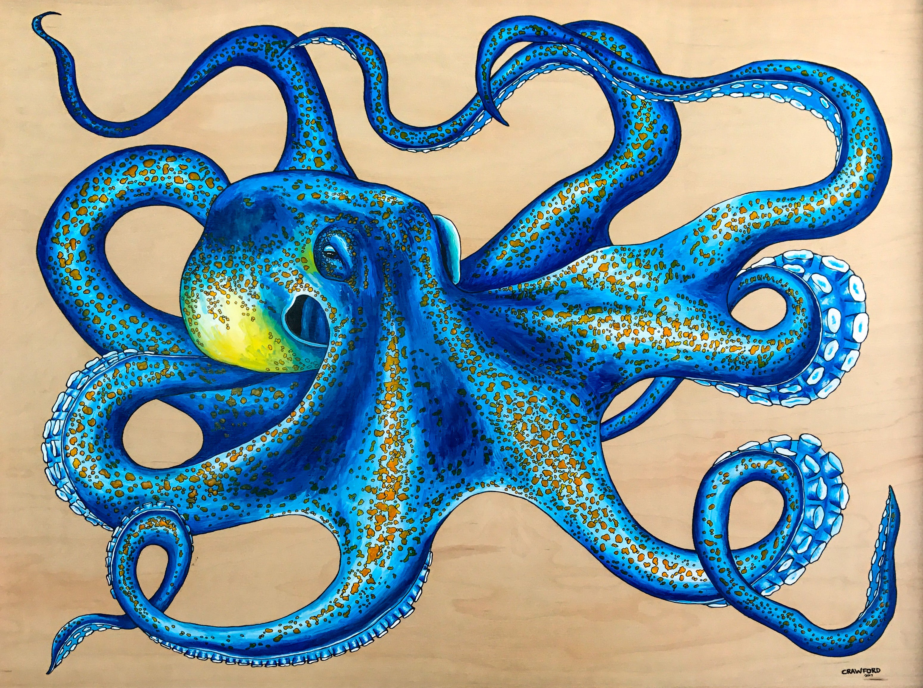 Blue Octopus